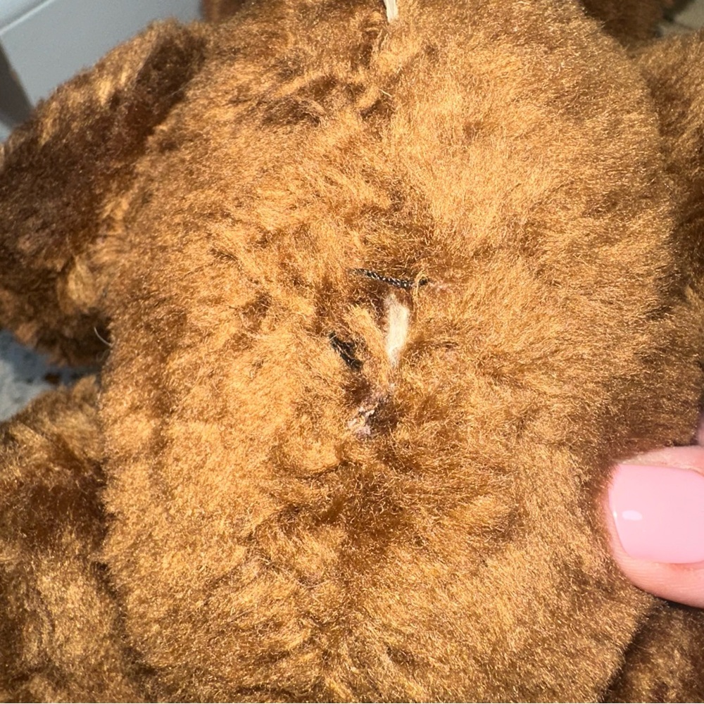 Antique jointed knickerbocker teddy bear - Picture 10 of 16